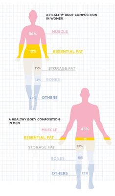 how long to change body composition: Is there a magic number?